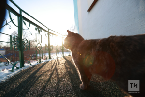 В Казани побиты температурные рекорды 2020 и 2025 годов