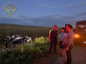 Водитель из РТ получил срок за смертельное ДТП из-за телефона