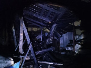 Под Челнами на глазах у хозяина сгорел двухэтажный дачный дом