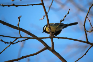 Прогноз погоды в Набережных Челнах на 27 марта