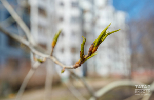 Прогноз погоды в Набережных Челнах на 30 марта