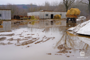 Затяжная весна и бурный паводок: прогноз для Татарстана