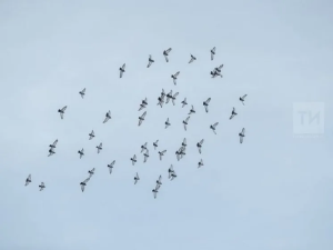 Прогноз погоды в Набережных Челнах на 1 апреля