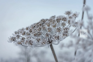 Прогноз погоды в Набережных Челнах на 8 марта