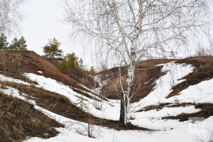 Прогноз погоды в Набережных Челнах на 11 апреля