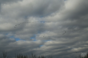 Прогноз погоды в Набережных Челнах на 13 апреля