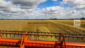 Более 40 тысяч татарстанцев получают надбавку за стаж в сельском хозяйстве