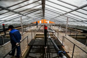 Рекультивация иловых полей в Казани завершена на 93%