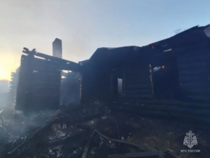 В Альметьевском районе мужчина погиб в пожаре из-за забытой еды