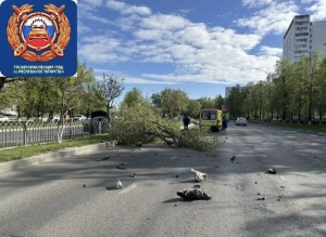 В Челнах 19-летний водитель снес деревья и ограждение в ДТП