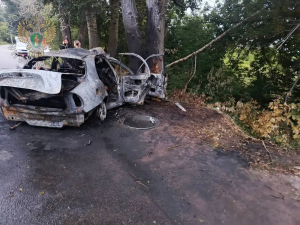 В Татарстане Chevrolet врезался в дерево: погибли шесть человек