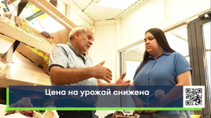 Дожди ударили по урожаю: фитофтора поражает картофель и помидоры