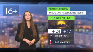 Прогноз погоды в Набережных Челнах на 12 августа 2026 г.