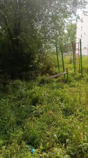 Заросли вместо двора: жители ЗЯБ бьют тревогу из‑за неухоженной территории