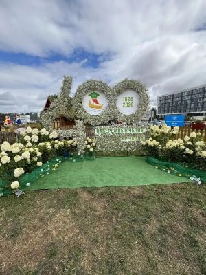 В Челнах отметили день республики Татарстан