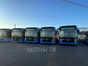 До кладбища «Восточное» в Челнах запустят автобусы в День памяти