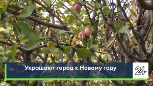 В Челнах начали развешивать новогодние гирлянды на проспекте Мира