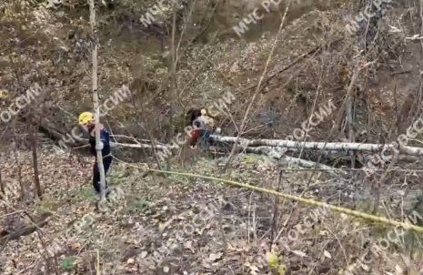 В Казани спасатели вытащили 80-летнего мужчину из глубокого оврага