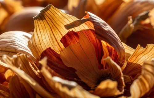 Юрист объяснил, можно ли в магазине снимать шелуху с лука