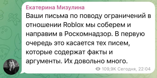 Мизулина намерена добиться разблокировки Roblox и обратиться в РКН