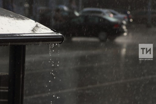 МЧС предупредило о тумане и сильном дожде в Татарстане