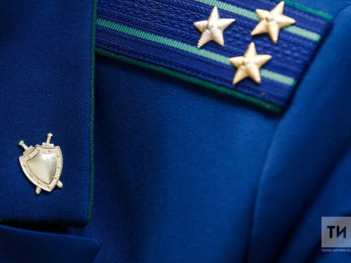 В Челнах исполком выплатит компенсацию за нападение собаки