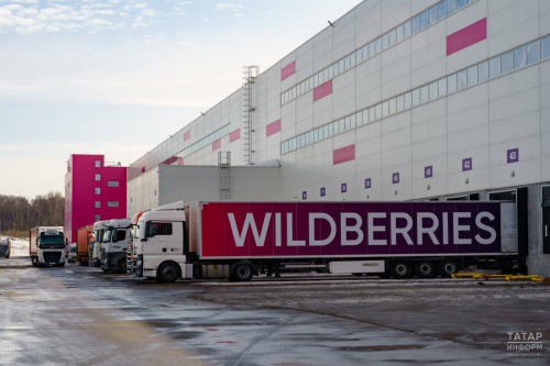 В Татарстане одобрили первый льготный займ пострадавшему селлеру Wildberries